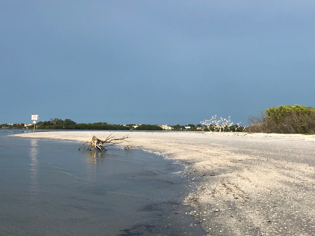 Top Water Kayak-Tierra Verde必去景点
