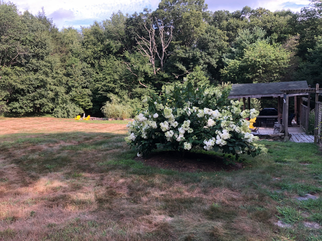 Abbey's Lantern Hill Inn主图