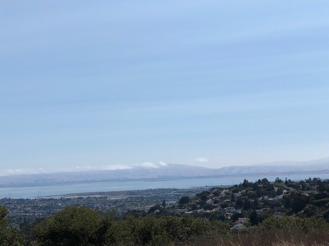 Laurelwood Park-圣马特奥必去景点