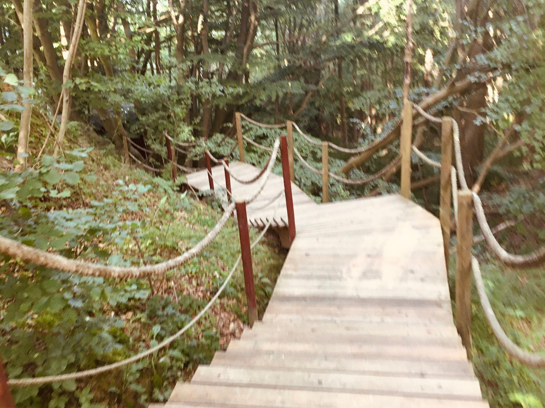 Rosevia Resort & SPA主图