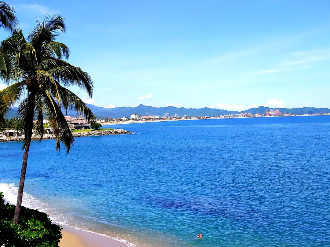 Dolphin Cove Inn主图