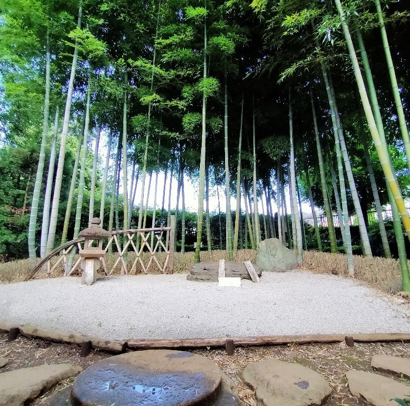 Akatsuka Botanical Gardens-板桥区必去景点