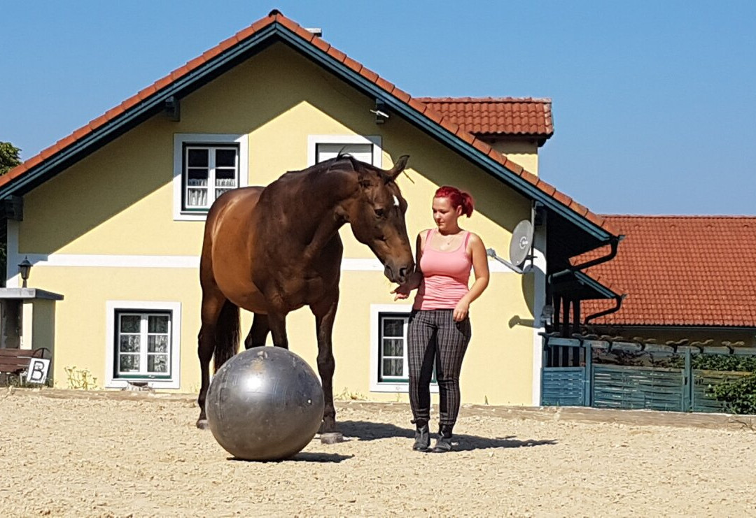Riding stable Sandjago景点图片