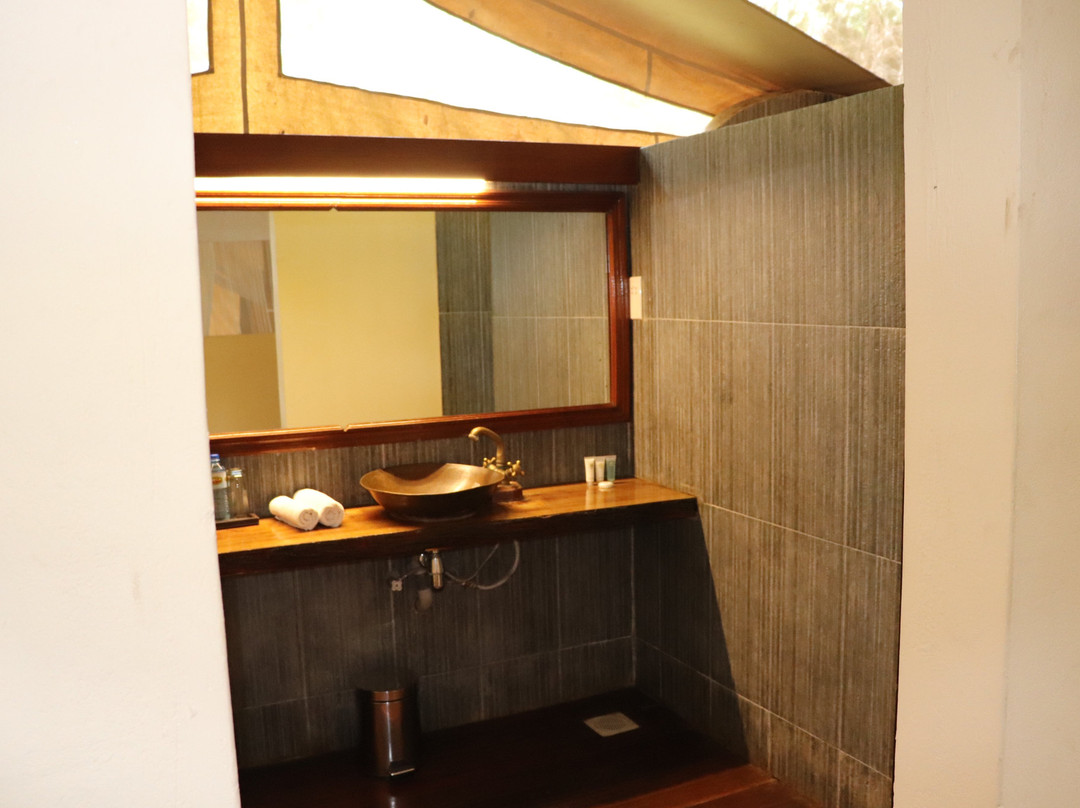 马塞马拉度假帐篷酒店主图