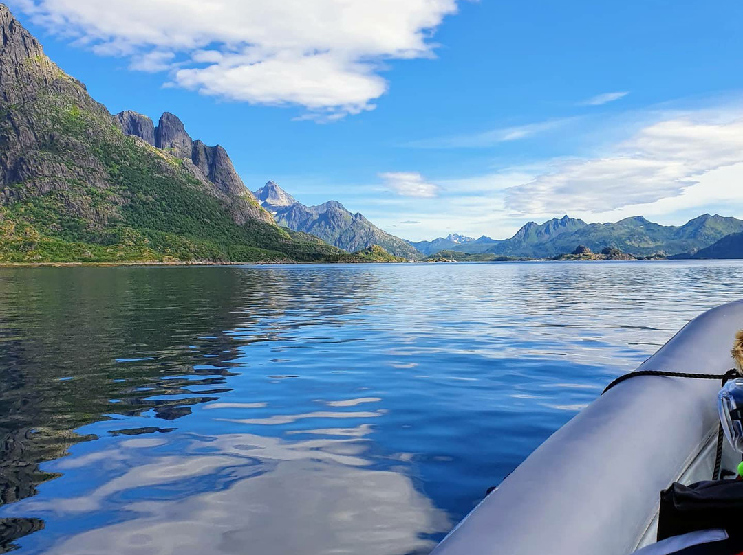 RIB-Lofoten-斯沃尔韦尔必去景点