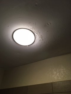 Comfort Suites University Area Notre Dame-South Bend主图