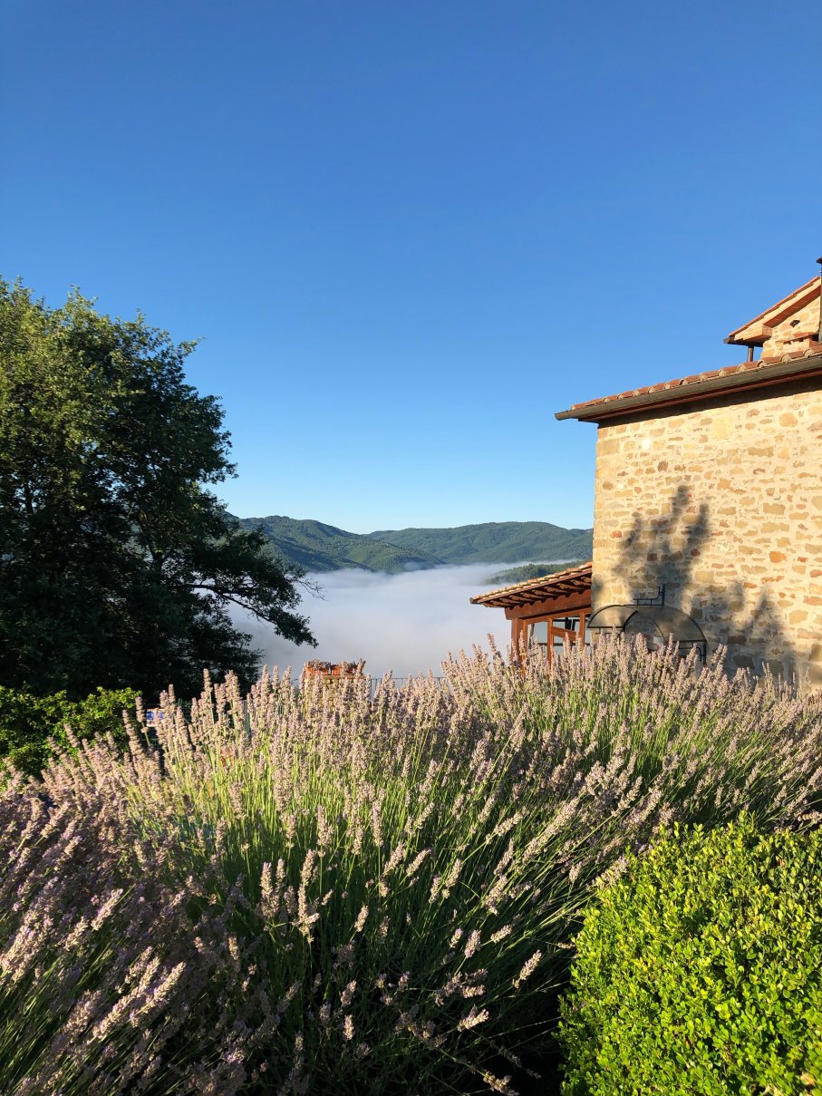Agriturismo Badia Ficarolo-官方