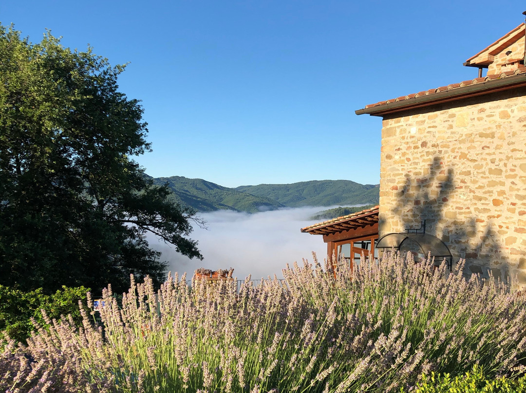 Agriturismo Badia Ficarolo主图