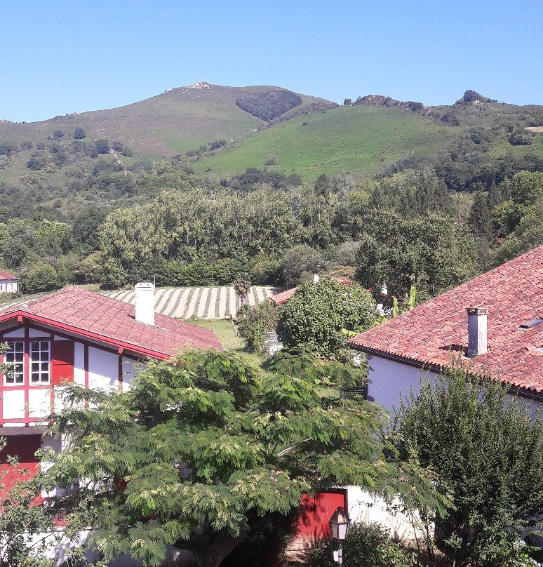 Hotel Ithurria主图