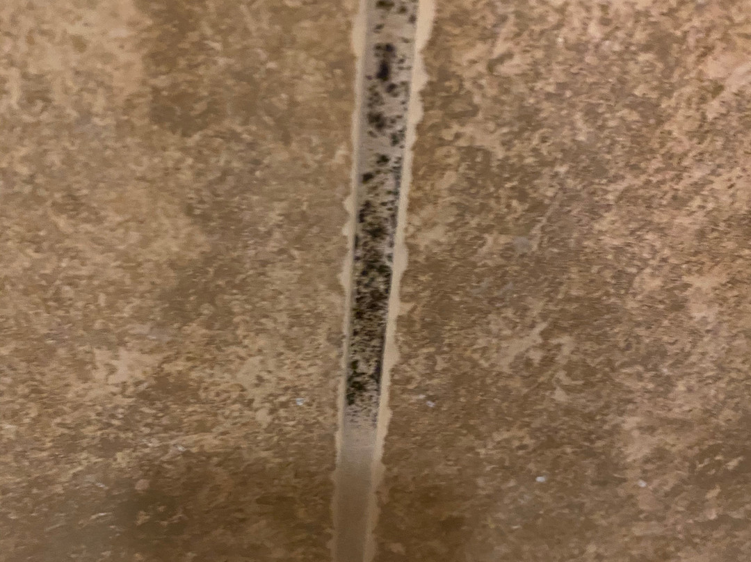 Comfort Suites Near Hot Springs Park主图