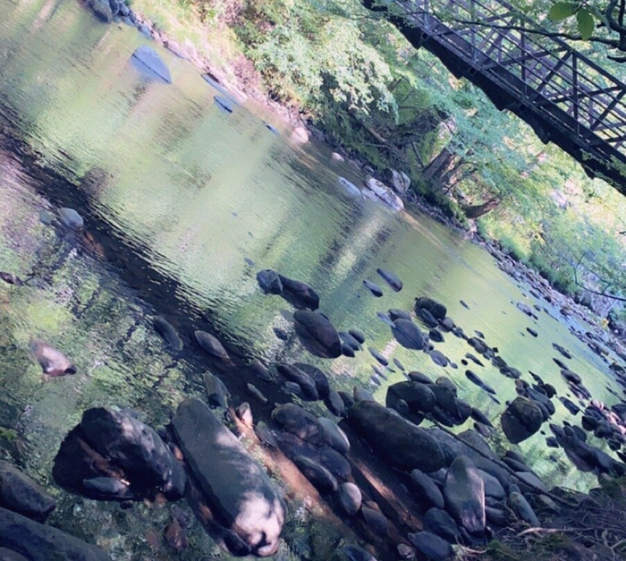 Little River Road-大雾山国家公园必去景点