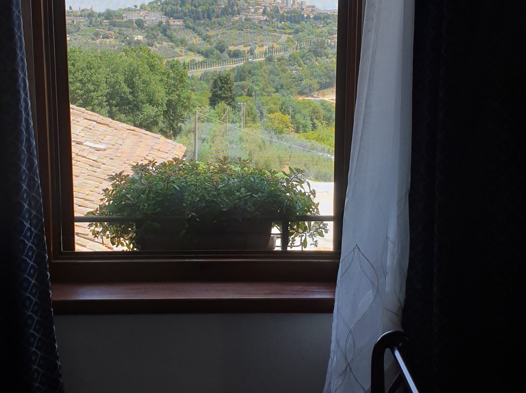 Podere Sant'Elena主图