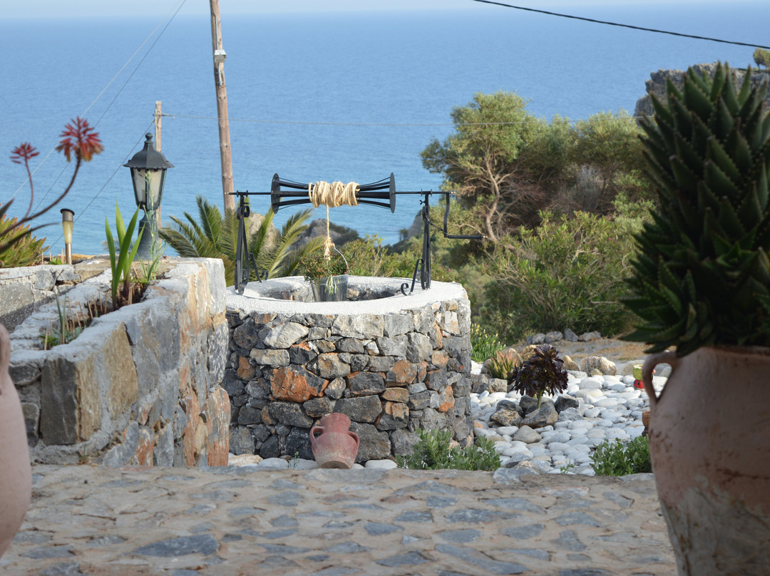 Horizon Studios Apartments主图