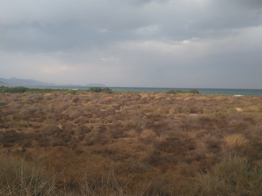 Playa De Perros Campello-El Campello必去景点