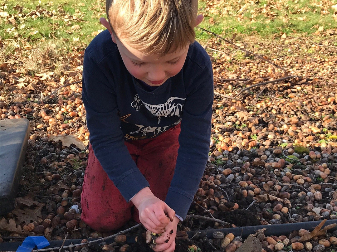 Truffles of Tasmania-德洛兰恩必去景点