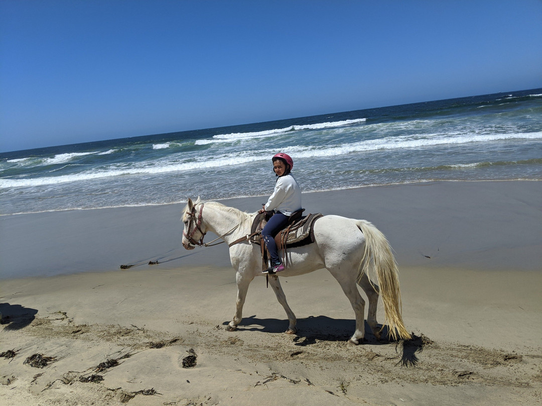 Monterey Bay Equestrian Center景点图片
