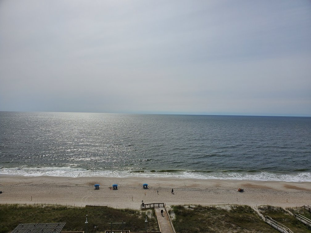 The Savannah Inn主图