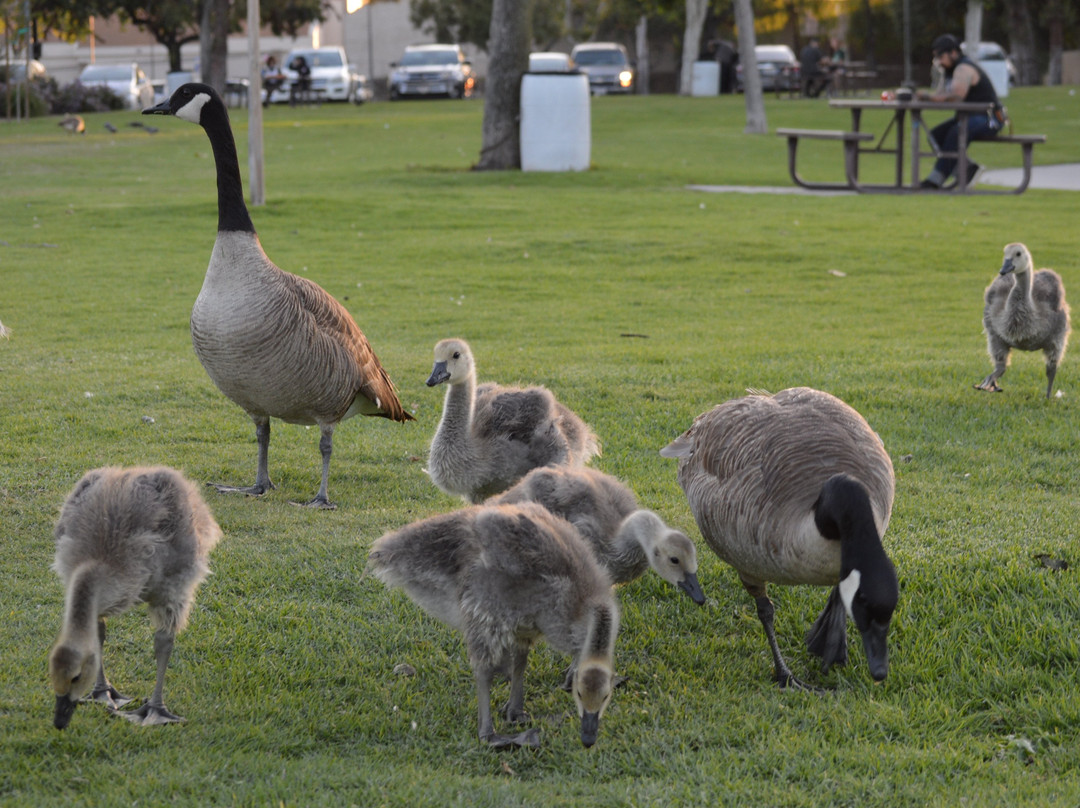 Heritage Park-喜瑞都必去景点