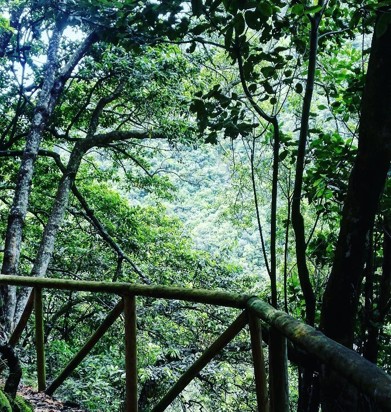 Levada do Castelejo景点图片