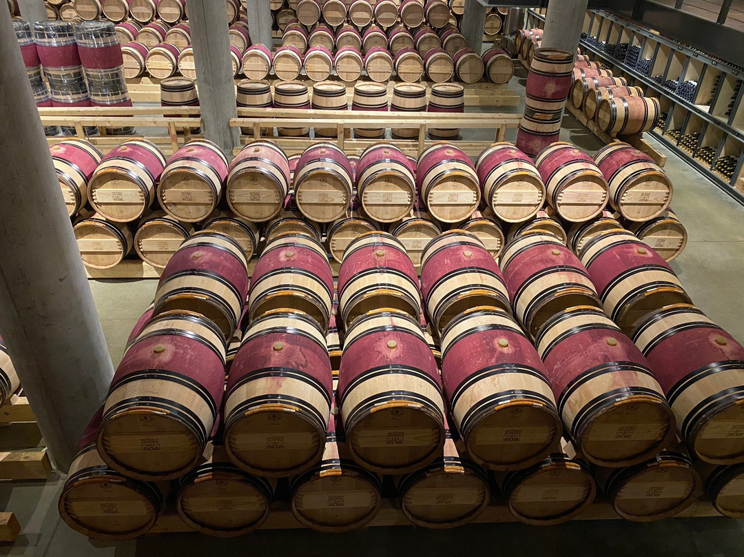 Domaine du Castel Winery-Yad Hashmona必去景点