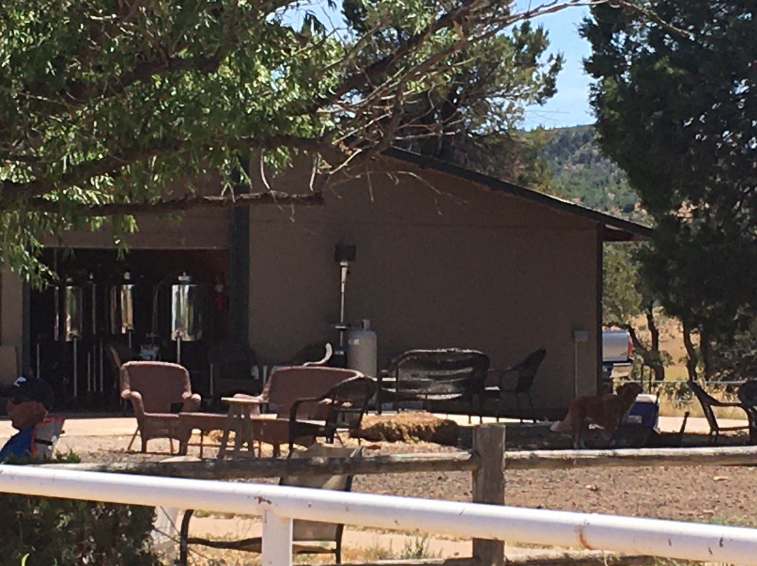 Black Horse Brewery-肖洛必去景点