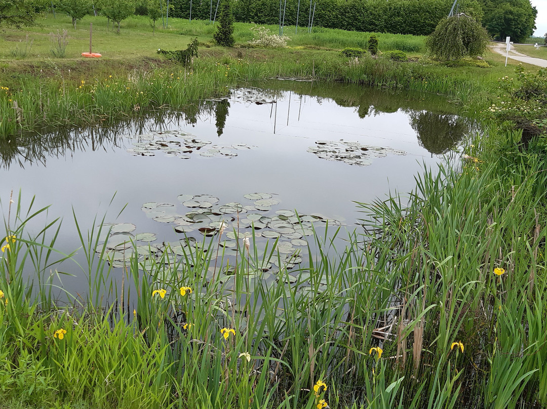 Museum and Garden of Peteris Upitis-Dobele必去景点