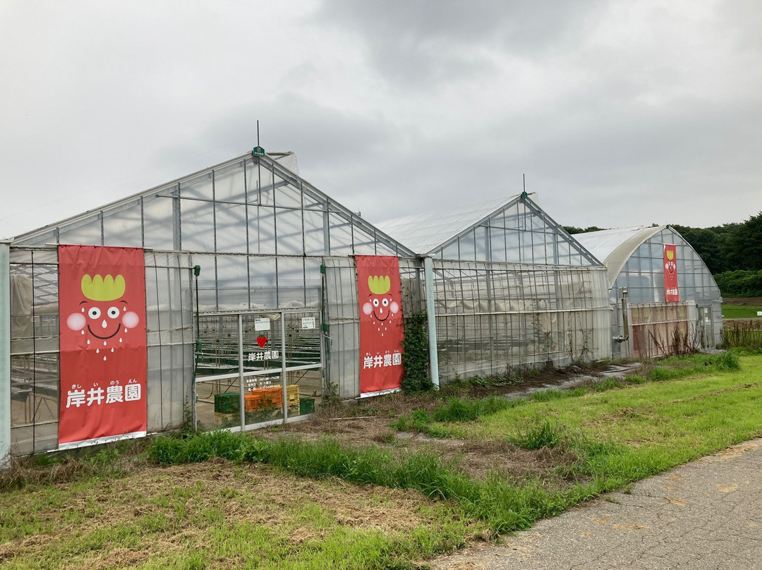 Kishii Farm