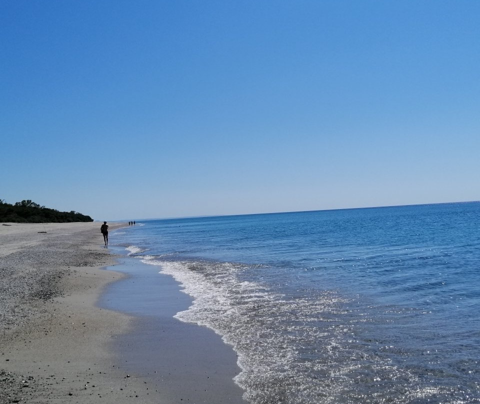 Area Naturalistica delle Dune di Giovino-Catanzaro Lido必去景点