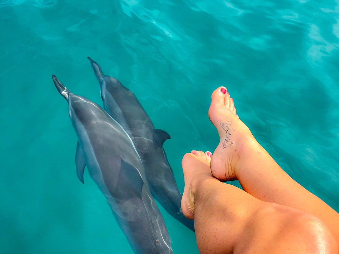 Na Pali Craze-科卡哈必去景点