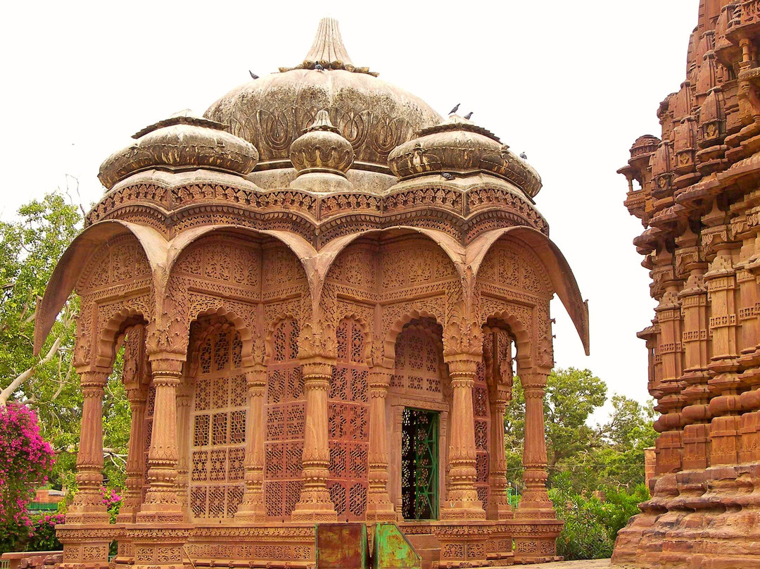 Jodhpur tuk tuk city tour景点图片