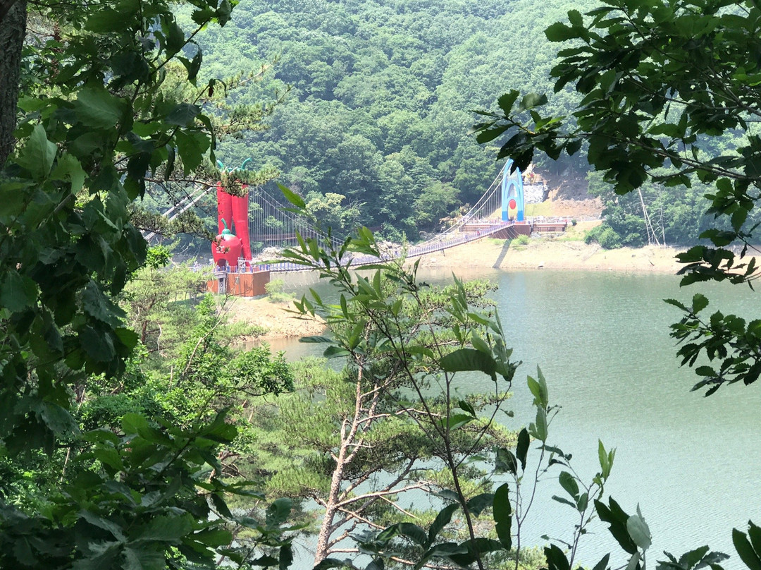 Cheonjang Lake Suspension Bridge-青阳郡必去景点