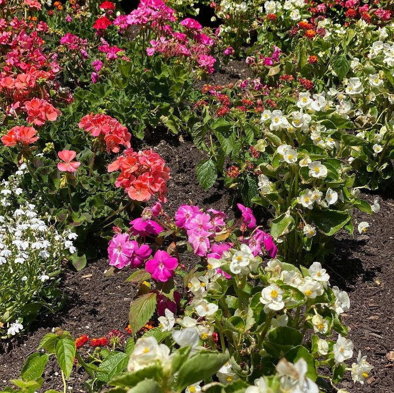 Jefferson Pointe-韦恩堡必去景点