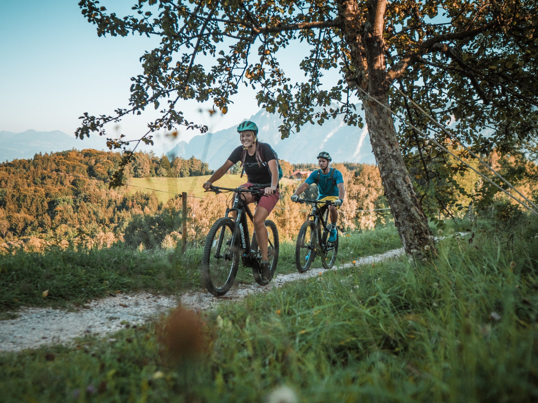 Salzbike-瓦兹必去景点