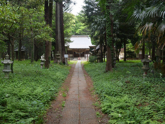 Kobari Shrine-伊奈町必去景点