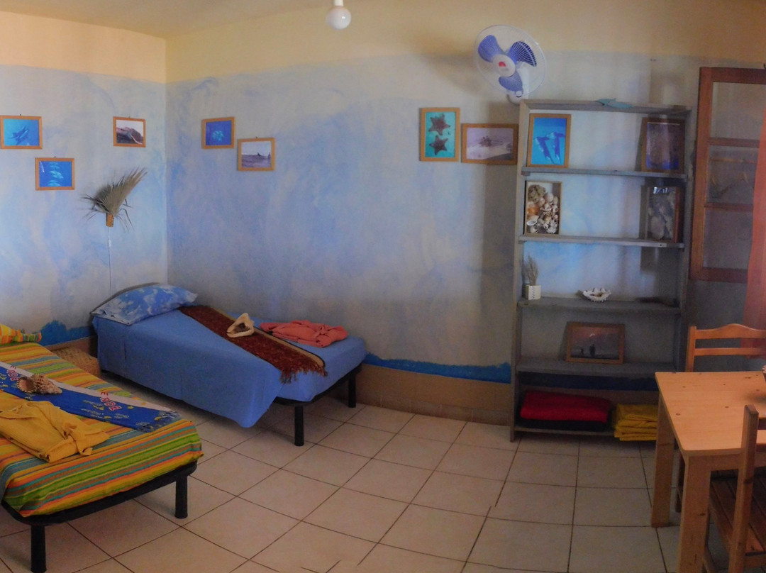 Tortuga Bed & Breakfast主图