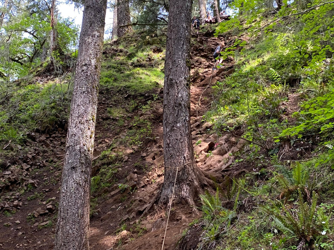 Abiqua Falls Trail-Scotts Mills必去景点