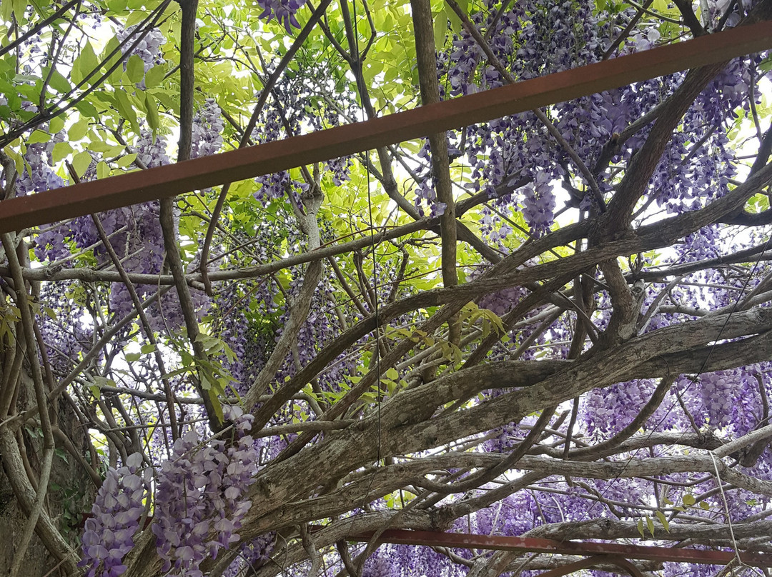 Hôtel du Château主图