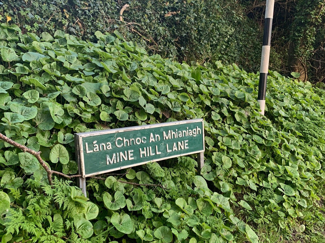 Ballycorus Lead Mines-Shankill必去景点