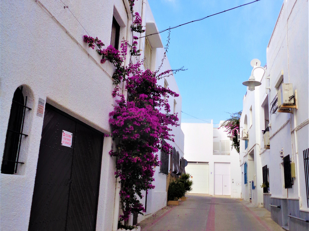 Playa De Agua Amarga景点图片