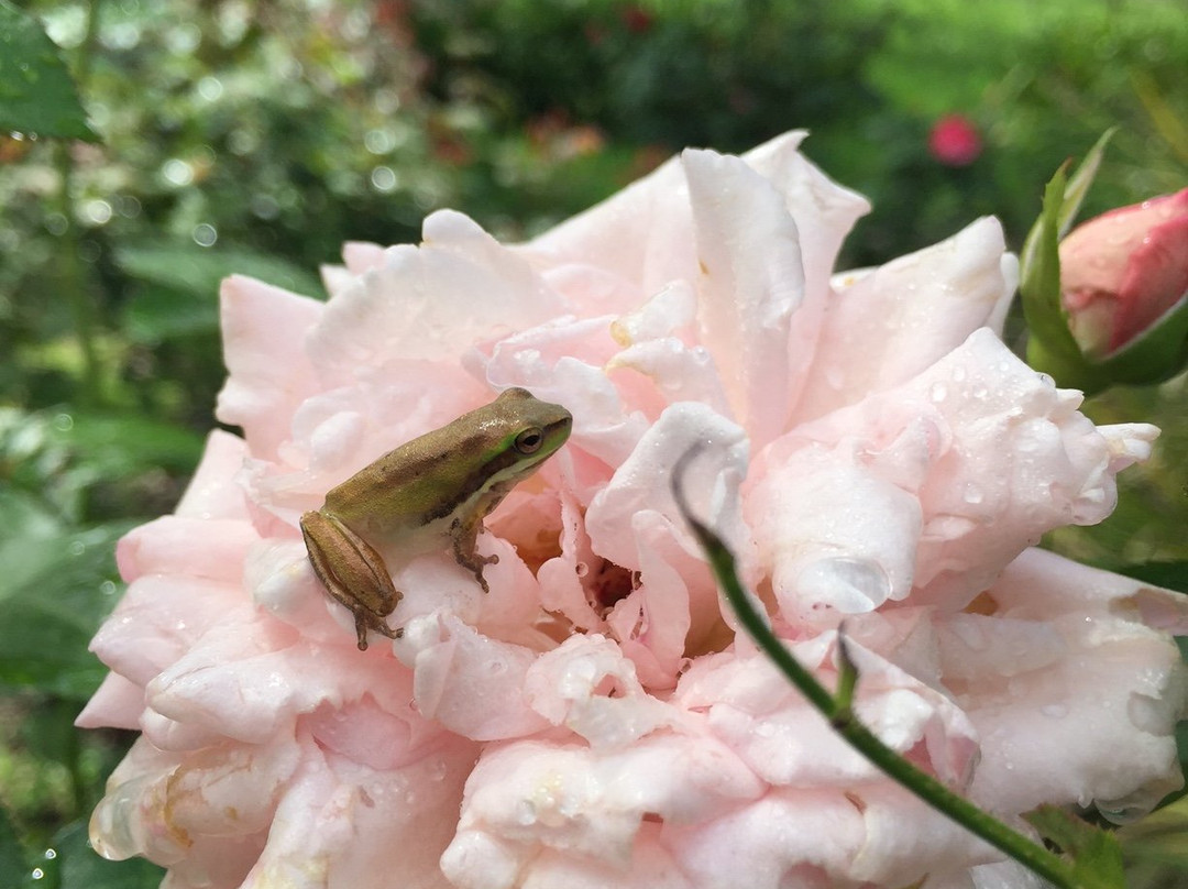 Firescreek Fruit Wines-Holgate必去景点