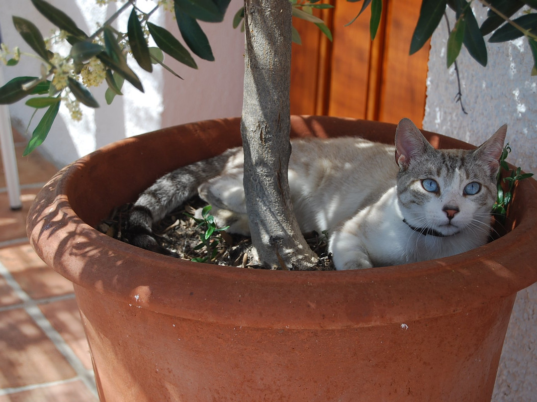 B&B Casa El Algarrobo主图