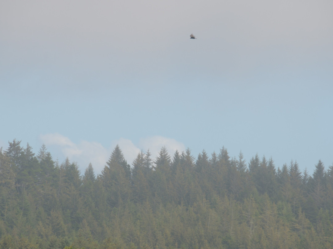 South Jetty County Park-弗洛伦斯必去景点