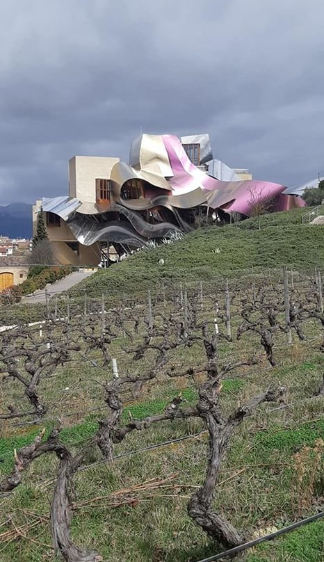 Bodegas Marques de Riscal景点图片