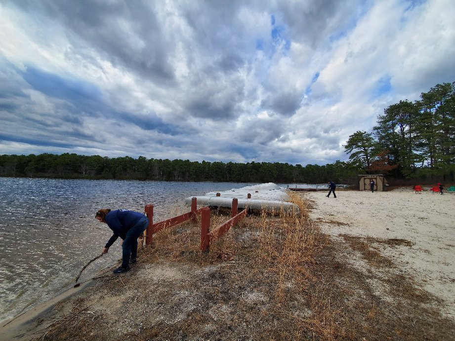 Bass River State Forest-Tuckerton必去景点