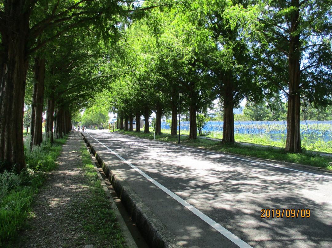 Makino Highland-高岛市必去景点