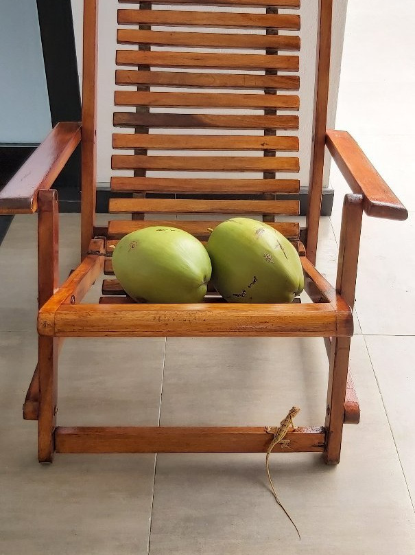 Kalametiya Dreams Hotel主图