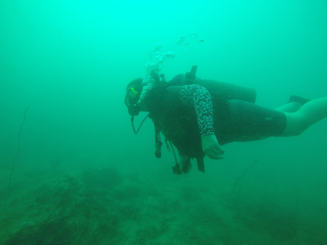 Mermaids Dive Center Pattaya景点图片