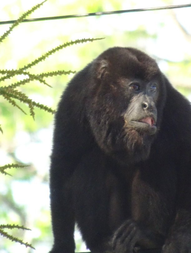 对方旅馆暨餐厅主图