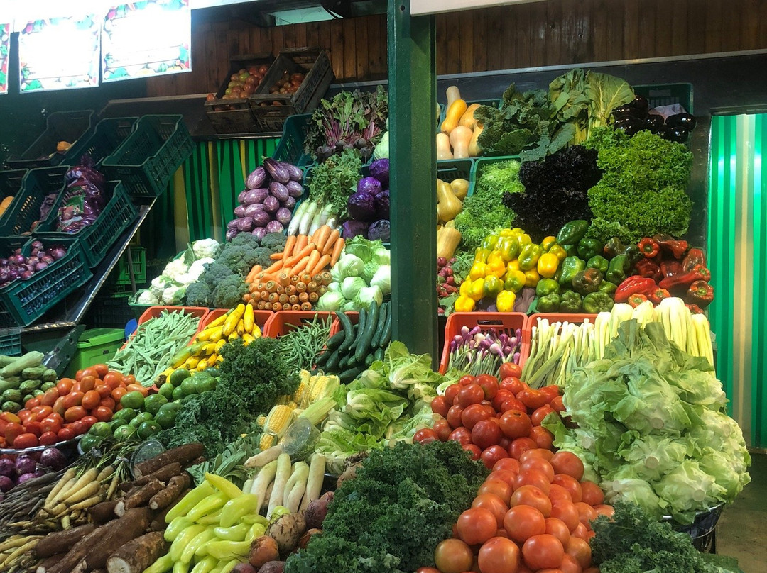 Argentina Cooking-布宜诺斯艾利斯必去景点