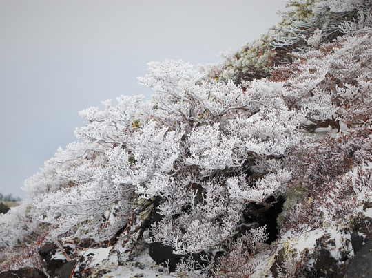 Yatsugatake Chushin Highland Park-南牧村必去景点